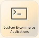 custom ecommerce application