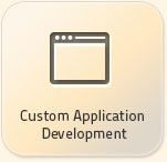 custom web application development