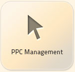 ppc management services